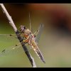 20150525_0037